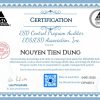ESD Auditor